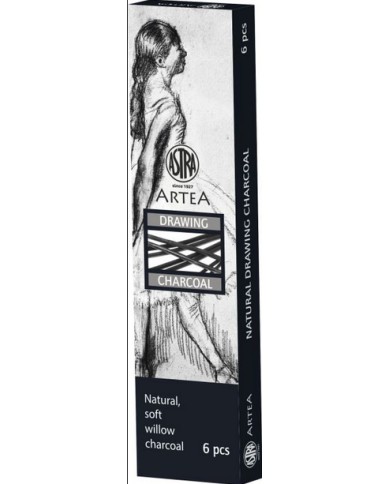 WĘGIEL NATURALNY RYS. ASTRA ARTEA 6 SZT
