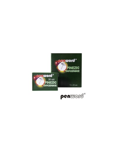PINEZKI SREBRNE 30 SZT PUD. PENWORD
