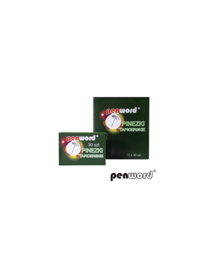PINEZKI SREBRNE 30 SZT PUD. PENWORD