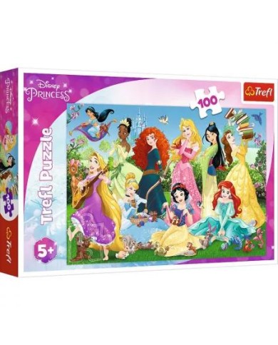 PUZZLE TREFL 100 EL KSIĘŻNICZKI