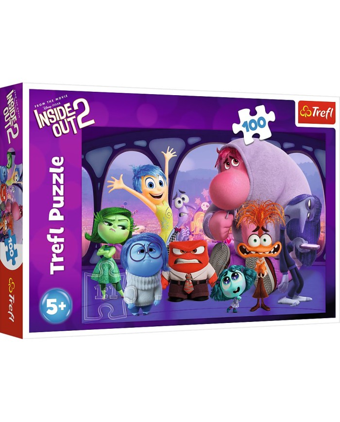 Puzzle - "100" - W głowie się nie mieści